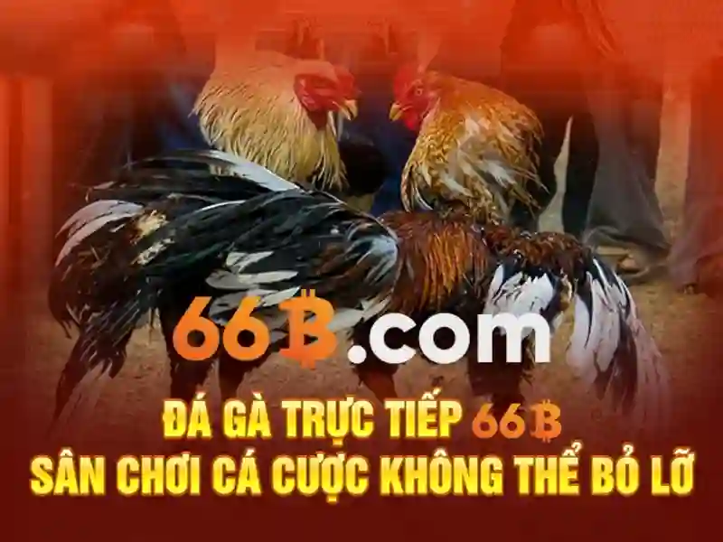 66b khuyến mãi - 66B