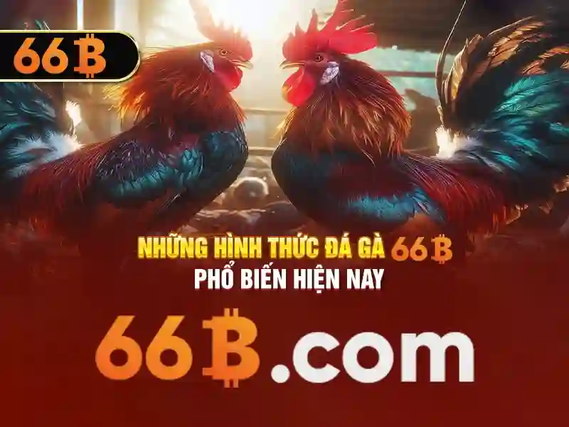 giấy phép hoạt động - 66B