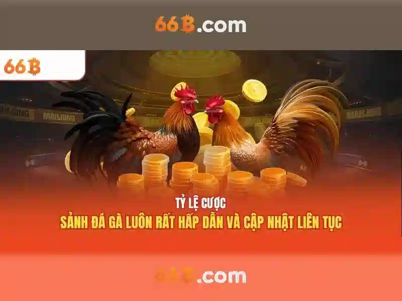  dịch vụ slot 66B - 66B