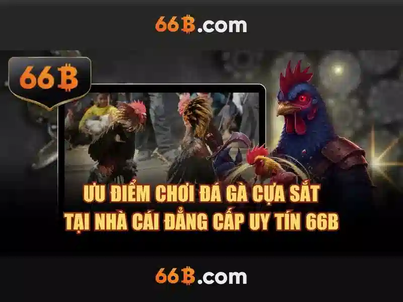 liên hệ 66B - 66B