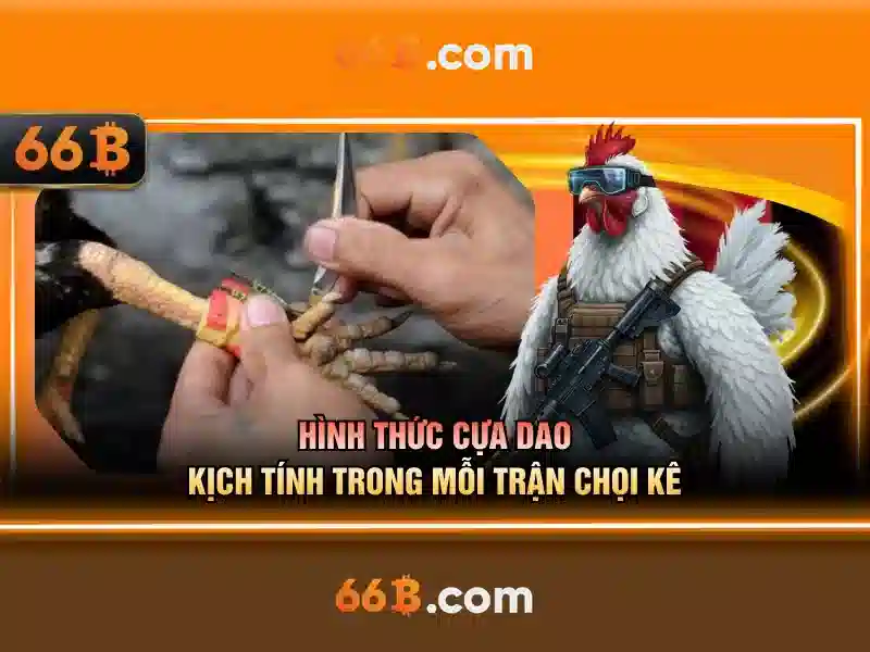  cá cược cờ tướng - 66B