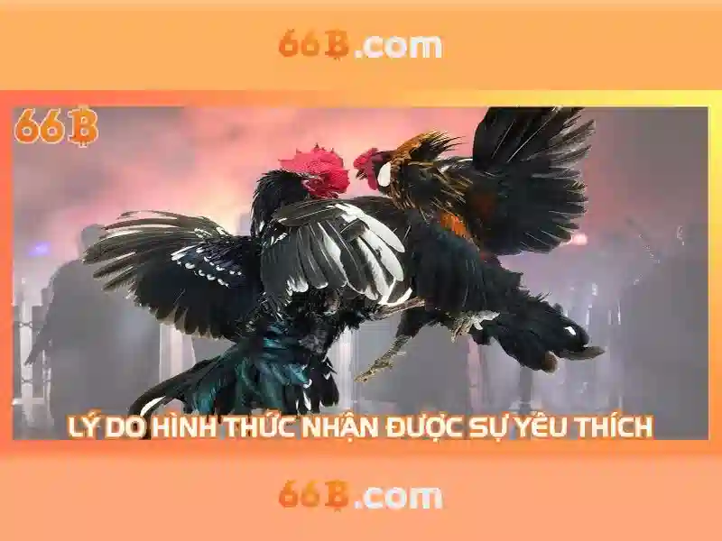  tỷ lệ thắng - 66B