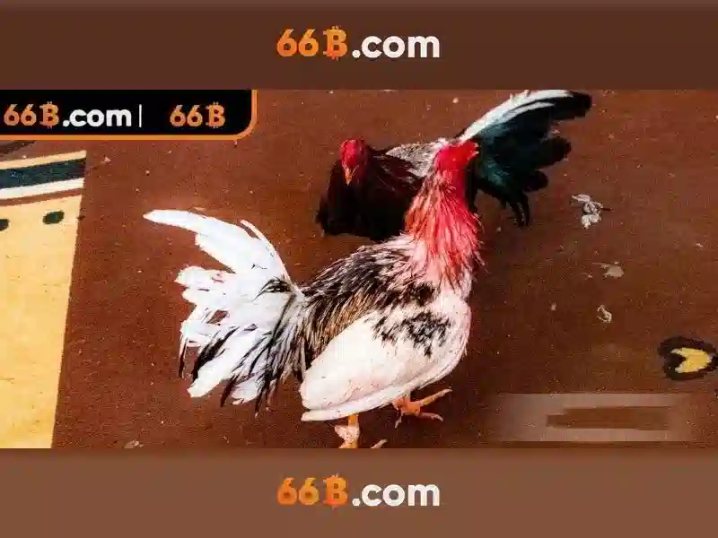 SLOT trực tuyến - 66B