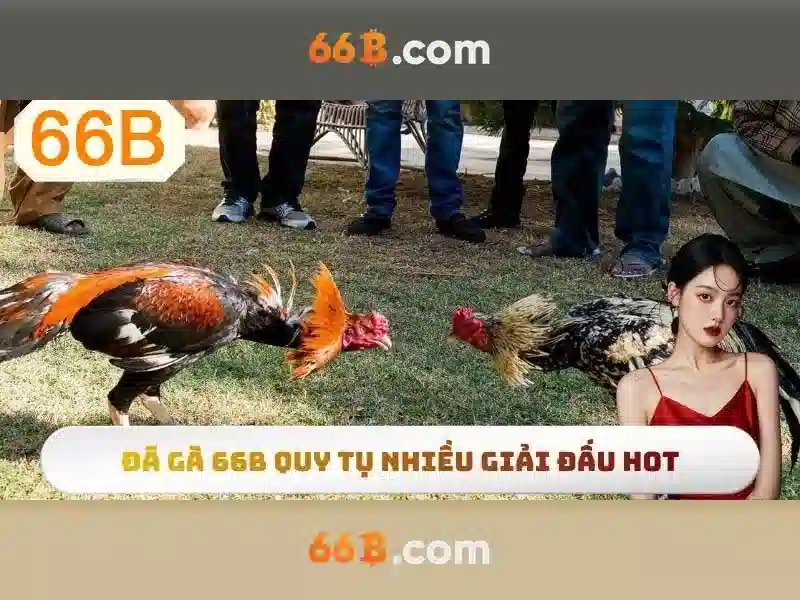 thưởng hấp dẫn - 66B