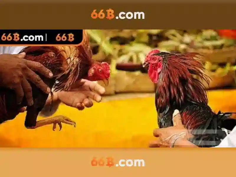 66B – Ứng Dụng Slot APK Tải Về Máy Tính, Tải Về Điện Thoại, Tải APK 66B 2026 - 66B