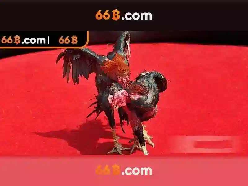  hướng dẫn nhận thưởng 66B - 66B