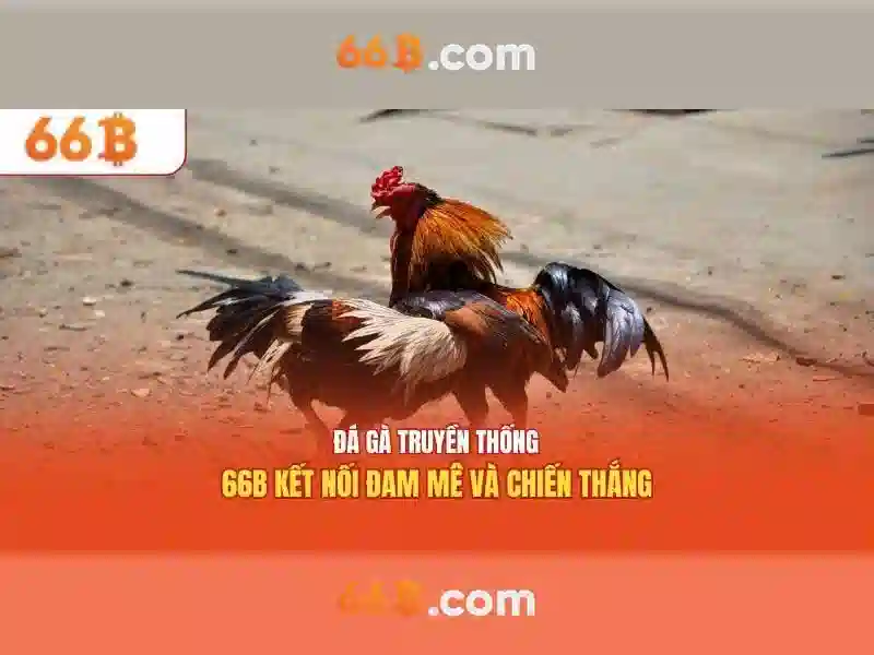  khuyến mãi casino - 66B