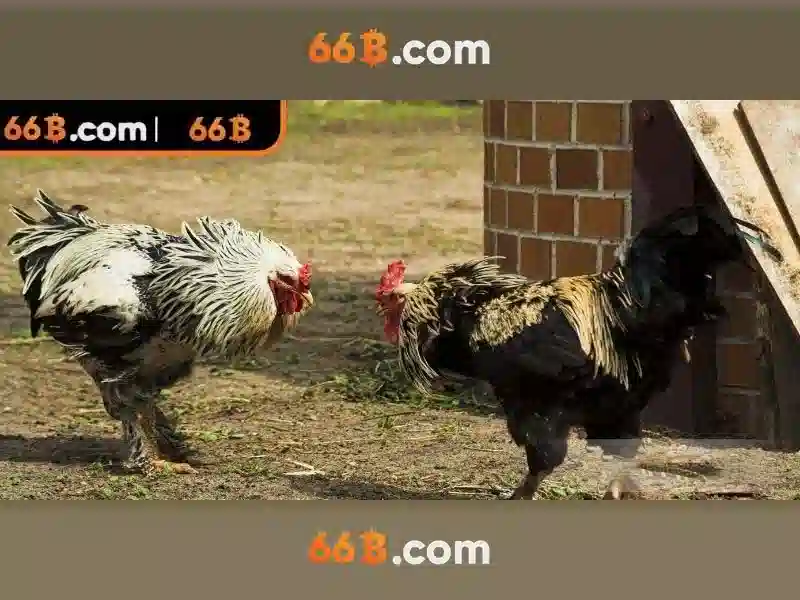66b - Casino trực tuyến đỉnh cao