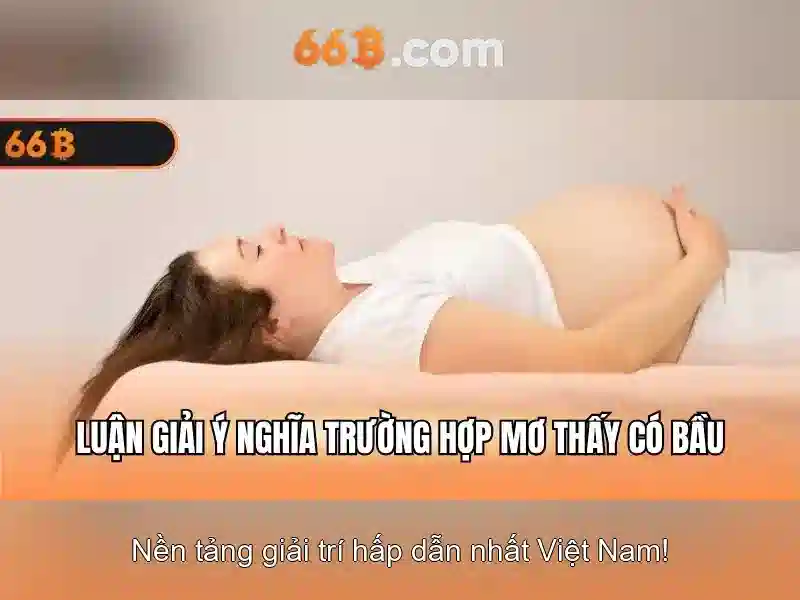 đăng ký 66b - 66B