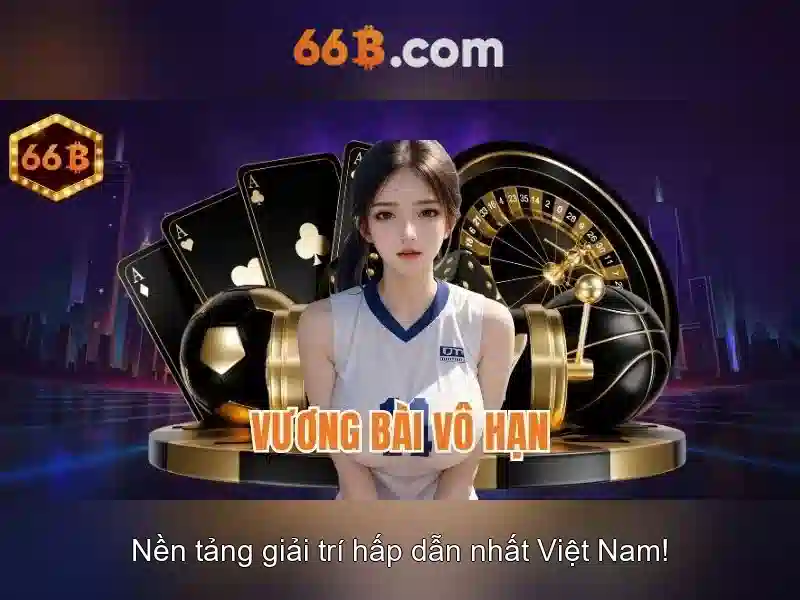 điều khoản điều kiện - 66B