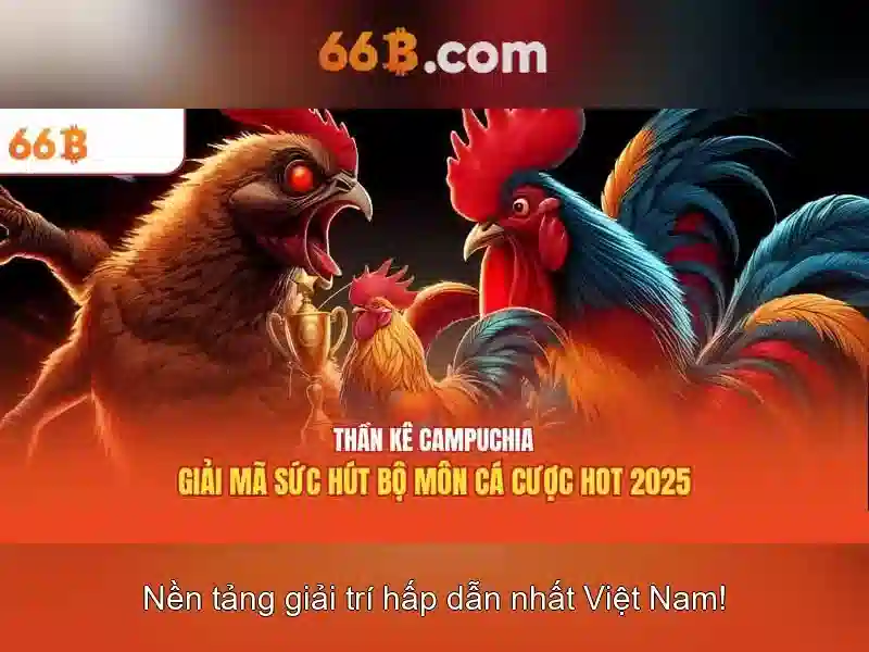  giao dịch 66b - 66B
