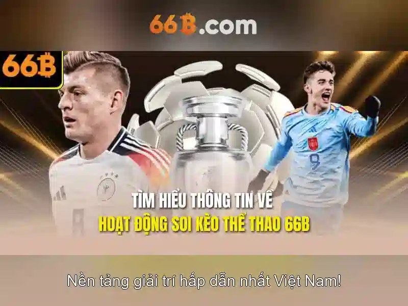 mậu binh 66b - 66B