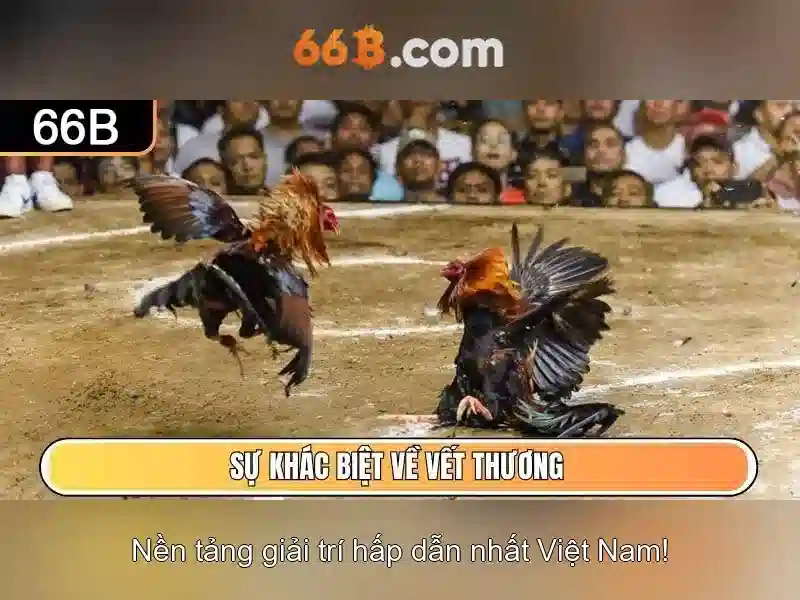nạp tiền 66B - 66B