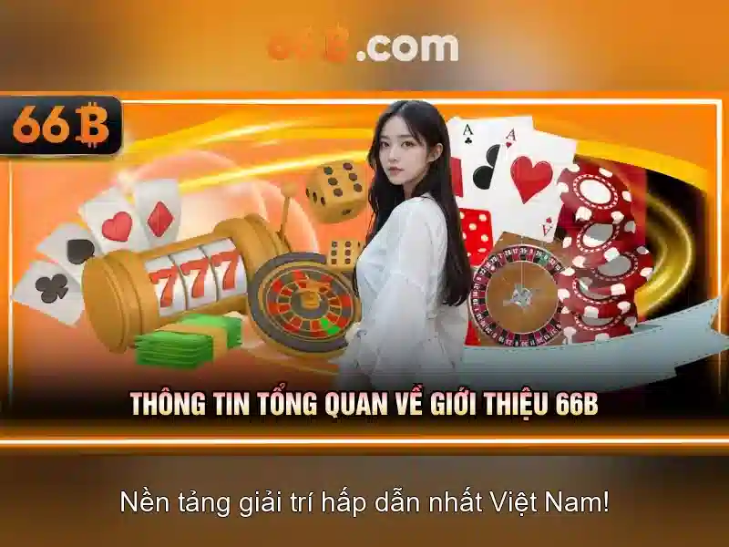 điều khoản điều kiện 66B - 66B