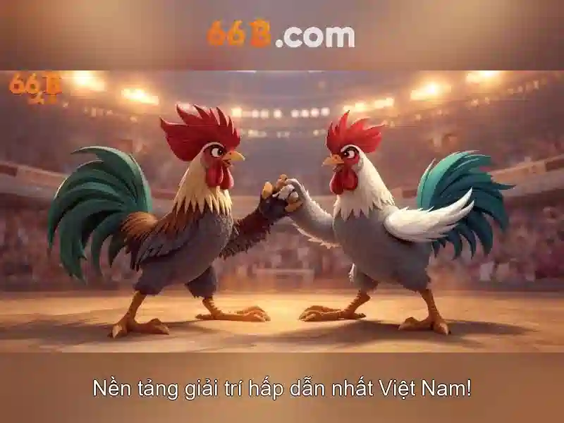 trải nghiệm 66B - 66B