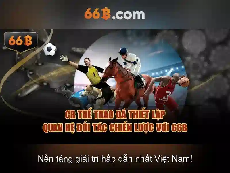  hỗ trợ khách hàng - 66B