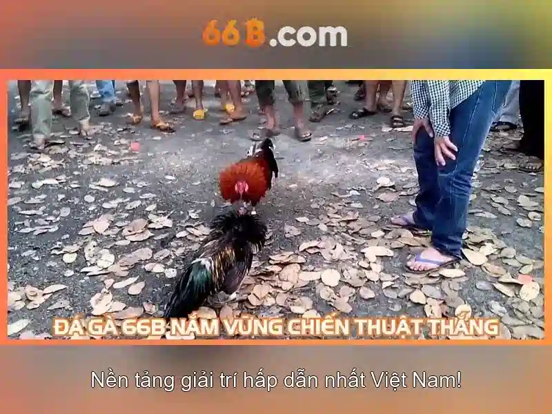 66B – Hướng Dẫn Sử Dụng 66b Free Chip Trong Trò Chơi Slot 2026 - 66B