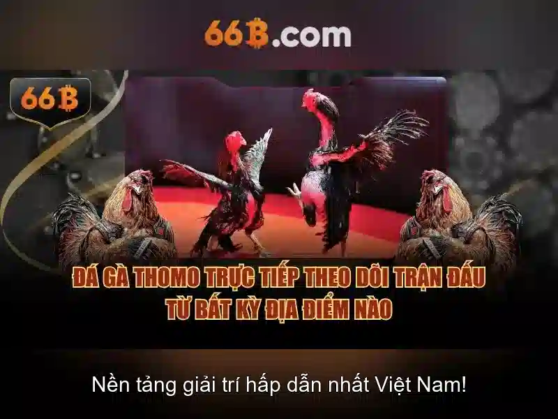 66B – Trải Nghiệm Slot Đỉnh Cao Với 66B Uy Tín Không - 66B