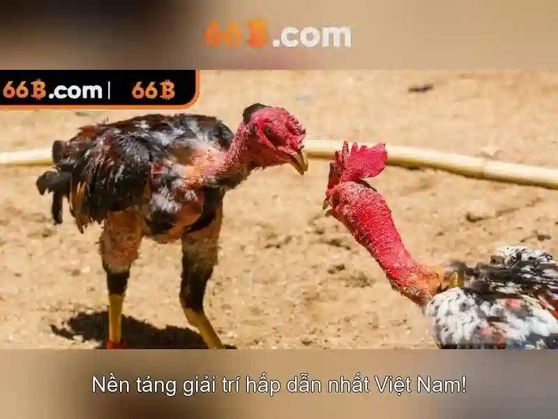 Liên Hệ 66B – Giải Pháp Nhanh Chóng Cho 66b Bị Chặn 2026 - 66B