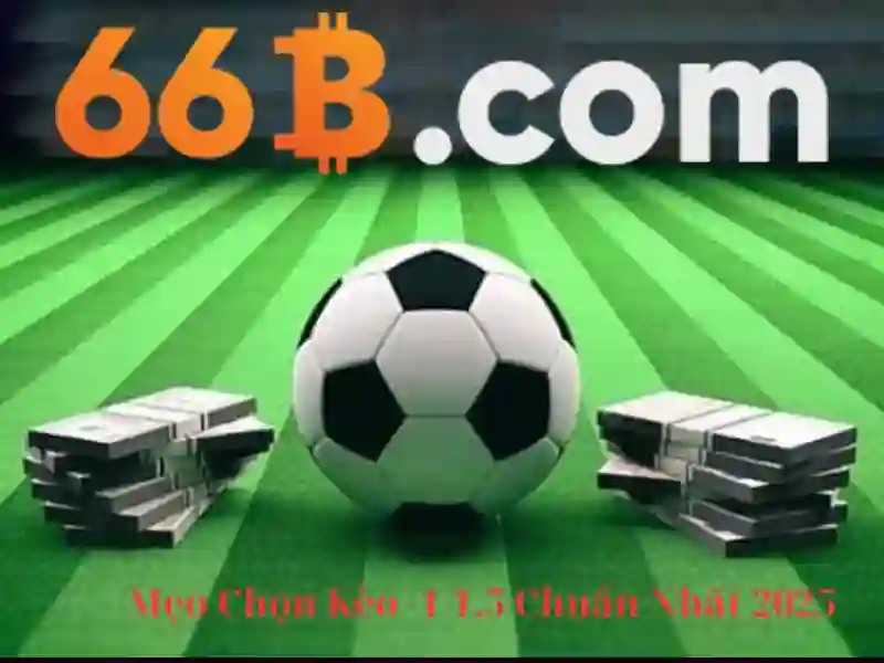  66b mới nhất - 66B