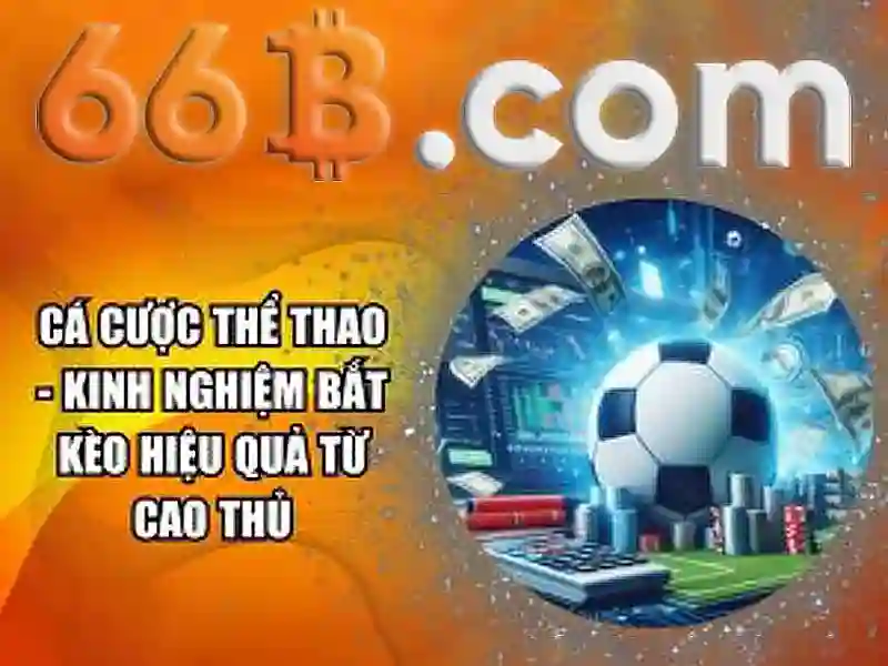  cá cược slot - 66B