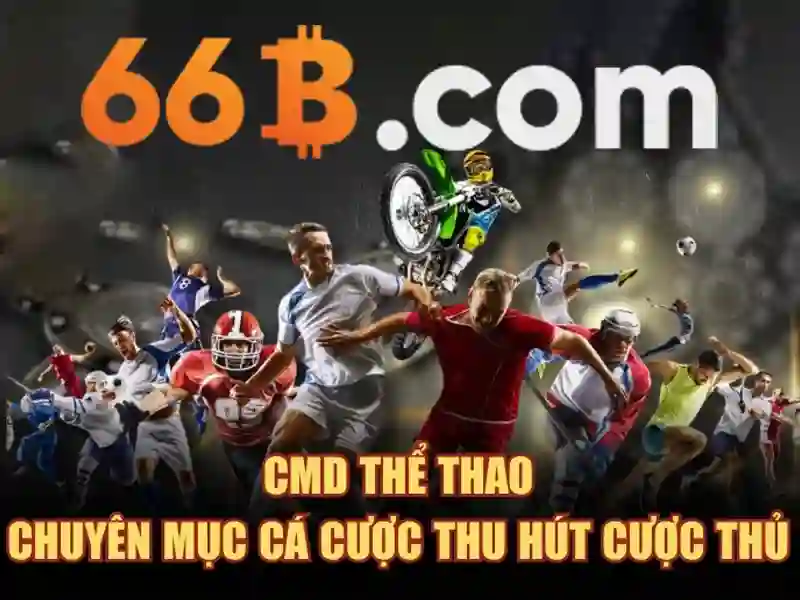  cờ vua - 66B
