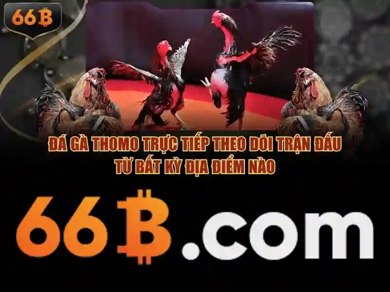 Tải App 66B Cực Nhanh, Trải Nghiệm Slot Đỉnh Cao - 66B
