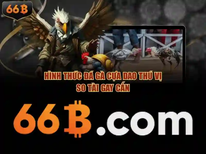 Tài Khoản 66B – Hướng Dẫn Sử Dụng và Ưu Đãi Slot 2026 - 66B